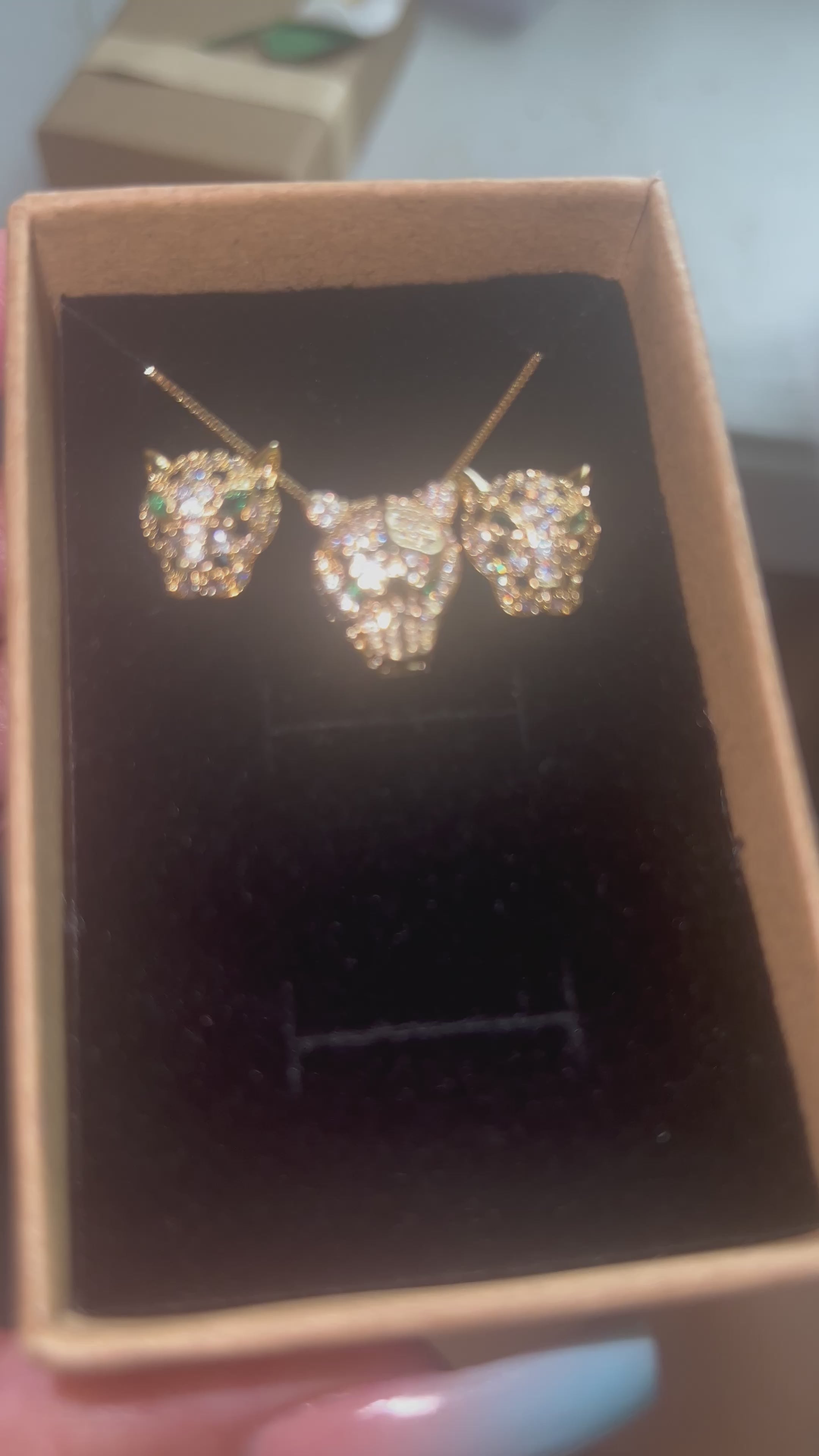Jaguar Set