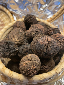 Black Walnuts for Cutting & Clearing