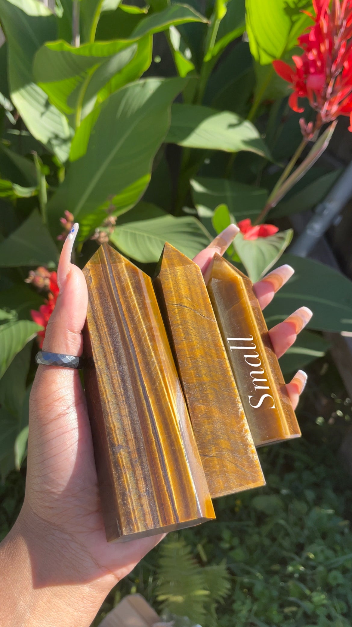 Tigers Eye Towers