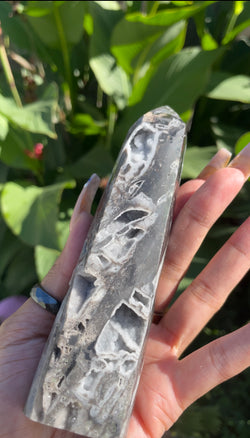 Rare Druzy Sphalerite Point