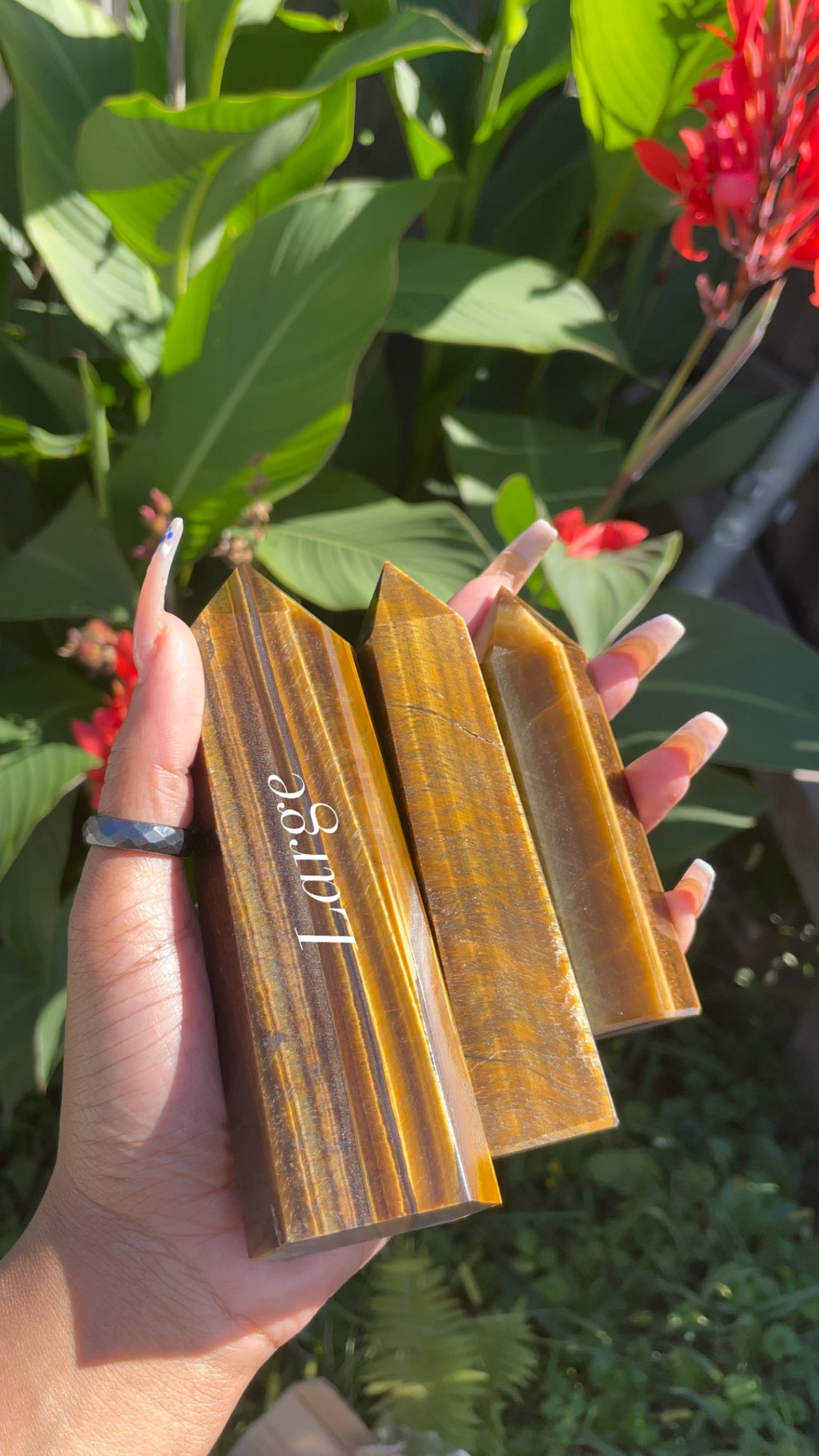 Tigers Eye Towers